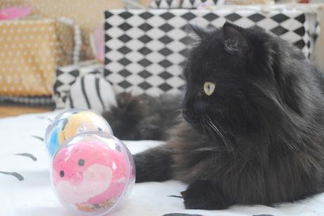 Les petits moments de L'Avent.