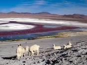 Raccourcis clavier Lightroom connaître absolument touche