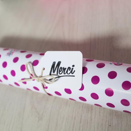 Les Gens Brillants #3 La Mécanique du Bonheur, Illustratrice (+ Interview !)