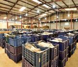 Entrepreneuriat en Afrique : les défis et les perspectives