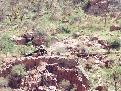 Envie #140 : Royal Gorge Route Railroad, une balade en train dans le Colorado royal gorge railroad colorado