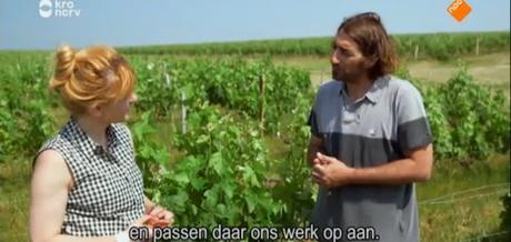 Keuringsdienst van Waarde : le jour où je suis devenu Kleagle. Keuringsdienst van Waarde : le jour où je suis devenu Kleagle.