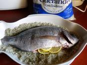 Dorade grise croûte