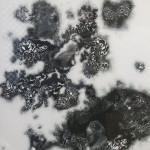 Dentelle et soleils noirs, La Chartreuse Lamb