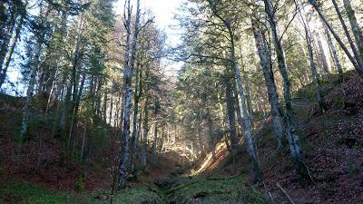 Belles promenades bavaroises: le Geroldsee en hiver (décembre 2015)