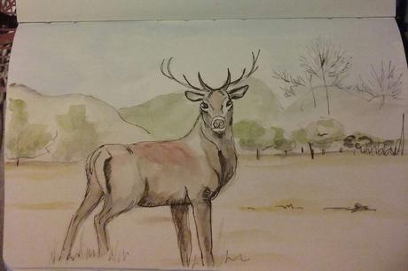 Calendrier avent.12/12/2015