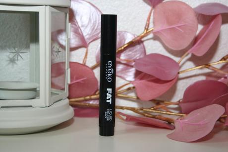 blog divers 2015 2016 082