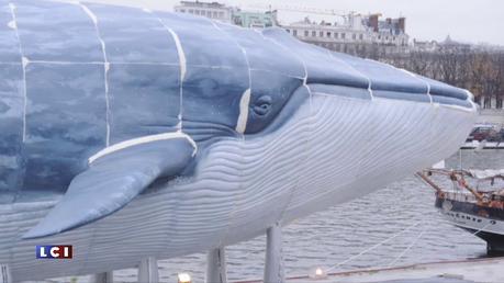 cop-21-une-baleine-de-33-metres-echouee-sur-les-quais-de-seine-11495003teapq.jpg?v=1