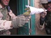 Politique Ville vraiment hardie