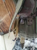  Unboxing   Rise of the Tomb Raider   Collector   Xbox One  Rise of the Tomb Raider unboxing Xbox One collector 