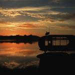 ARCHI : S’installer partout grâce au Lifepod!