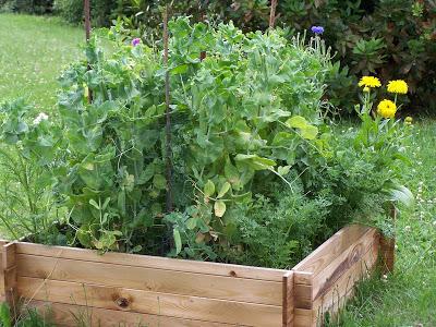 Les nouveaux mariages de légumes prévus pour 2016