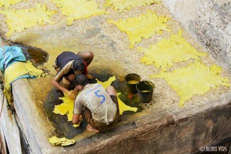 tanneries de fes (10)