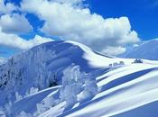 L'essence plus secrete