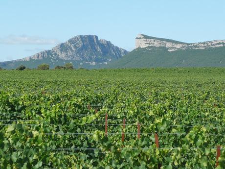 Lendemain d'élection