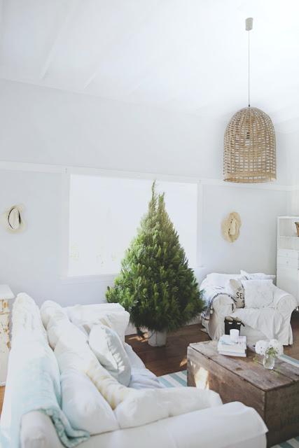 Noël 2015 / Inspirations #11 / En Australie, sapins en toute simplicité  /