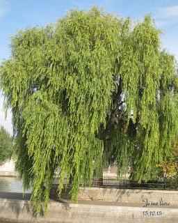 La Photo du Mois #11 : Évasion !