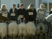 Béliers: film islandais vous féra béler plaisir