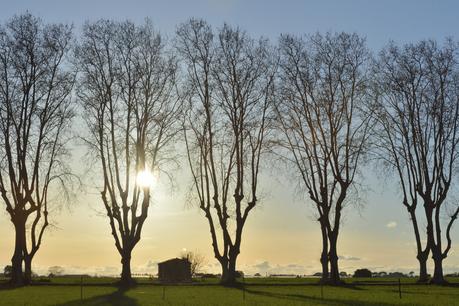Biodiversité : un engagement reconnu