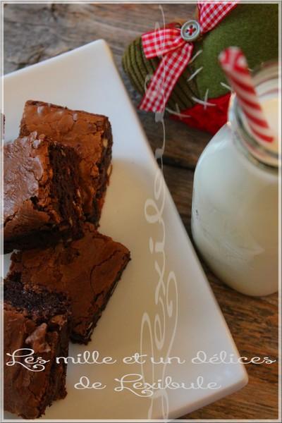 ~Brownies choco-chocolat~