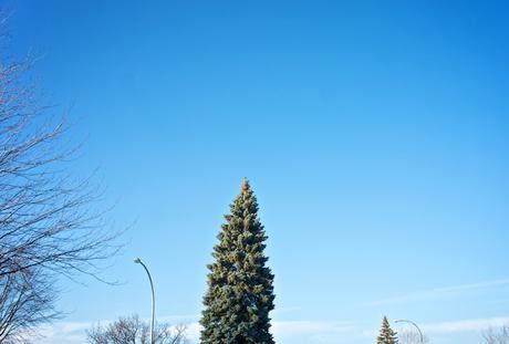 Petit coin du ciel Petit coin du ciel