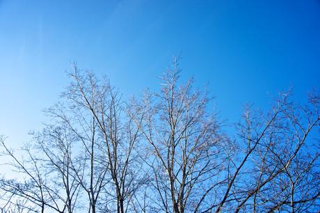 Petit coin du ciel Petit coin du ciel