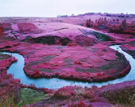 Richard MossE