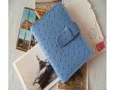 PETITS CARNETS BLEUS (Extrait livre)