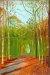 2006, David Hockney : Woldgate woods en automne