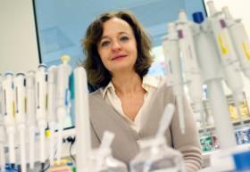 Santé : vers une nouvelle thérapie pour guérir la drépanocytose ? Santé : vers une nouvelle thérapie pour guérir la drépanocytose ?