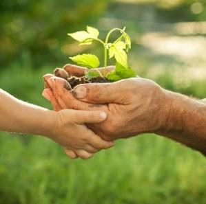 AUTISME: La thérapie médiée par les parents fait ses preuves  – The Lancet Psychiatry