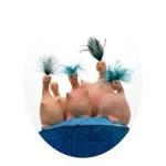 téléchargement (1).jpg