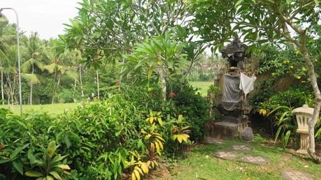 Se loger près d'Ubud - Chez Nyoman à Batuan - Balisolo (54)