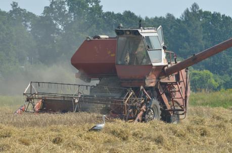 Crédit : agriculture par Shutterstock