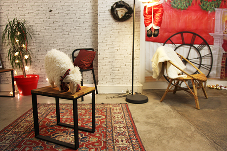 Cette année Noël sera sur le thème …..du rouge…du vert… du Kitsh… et du Noël version écossais !!!!