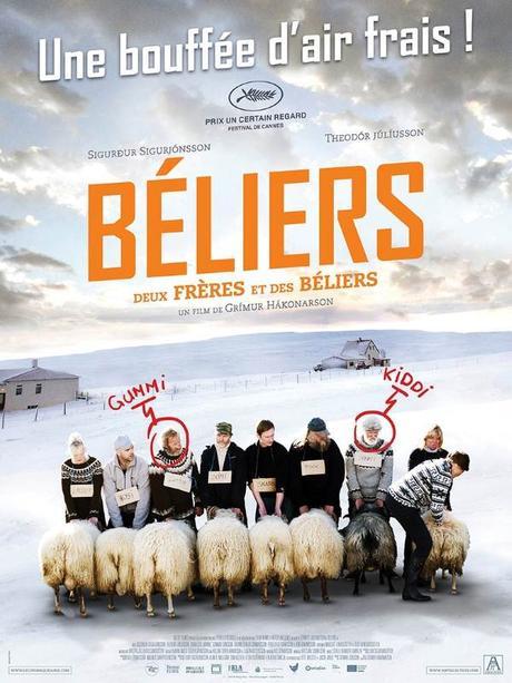 Béliers "Hrútar" Béliers