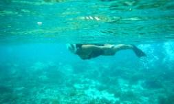 Snorkeling a Gili Trawangan - Balisolo (10)