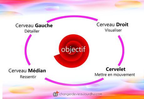 changer de vie 4 cerveaux