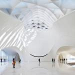 ARCHITECTURE : MAD ARCHITECT