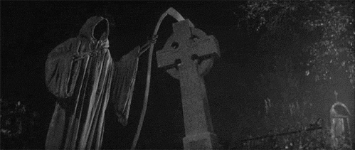 Afficher l'image d'origine