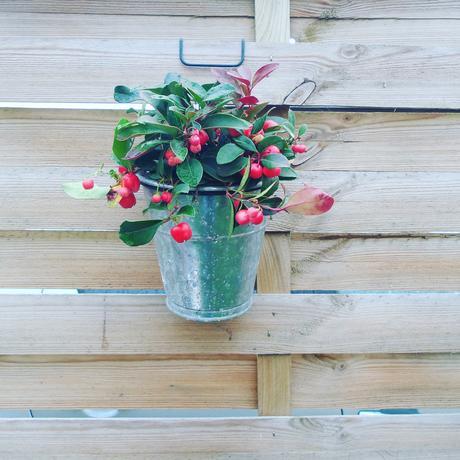 {Lifestyle} Le temps d’une pause…