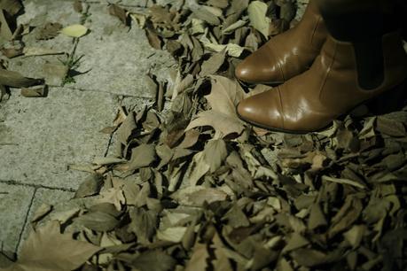 So Brit ! 18122015-_H5B9118