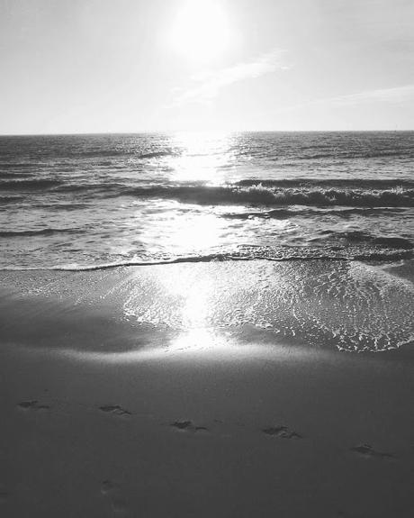 Un Noël au bord de la mer...