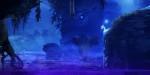 Ori and the Blind Forest Definitive Edition flânera encore un peu en forêt...
