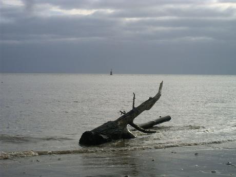 préposé aux machines de l'univers