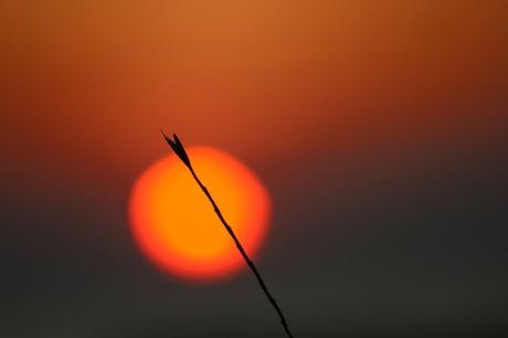 préposé aux machines de l'univers