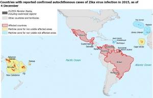 ZIKA: Le virus pourrait s'importer en Europe – ECDC et Journal of General Virology