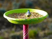 mangeoire récup' pour oiseaux