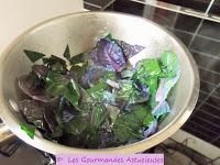 Chou rouge braisé et Boulgour au Champignon (Vegan)