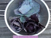 Chou rouge braisé et Boulgour au Champignon (Vegan)